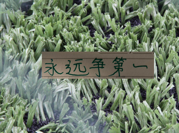 旺财28官方网站-青岛海牛会战胜北京国安吗|上海海港|中超|上海申花|上海申花足球俱乐部|中超联赛_新浪体育_新浪新闻